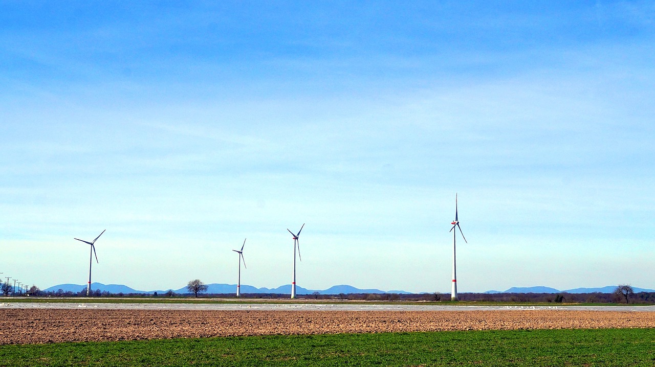 windräder  energy  wind power free photo