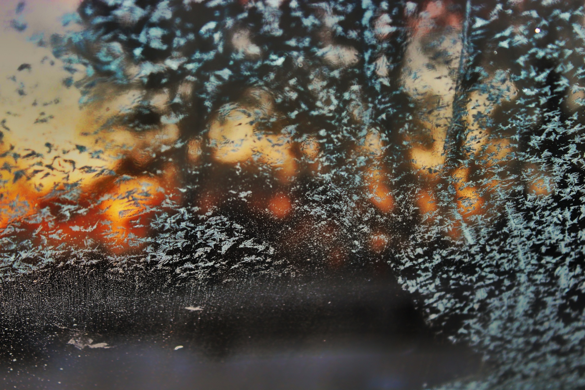 frost windshield winter free photo