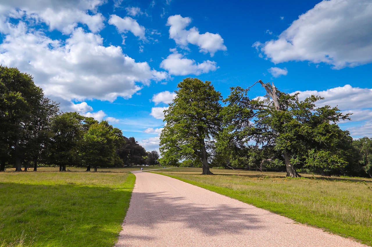 windsor gardens park nature free photo