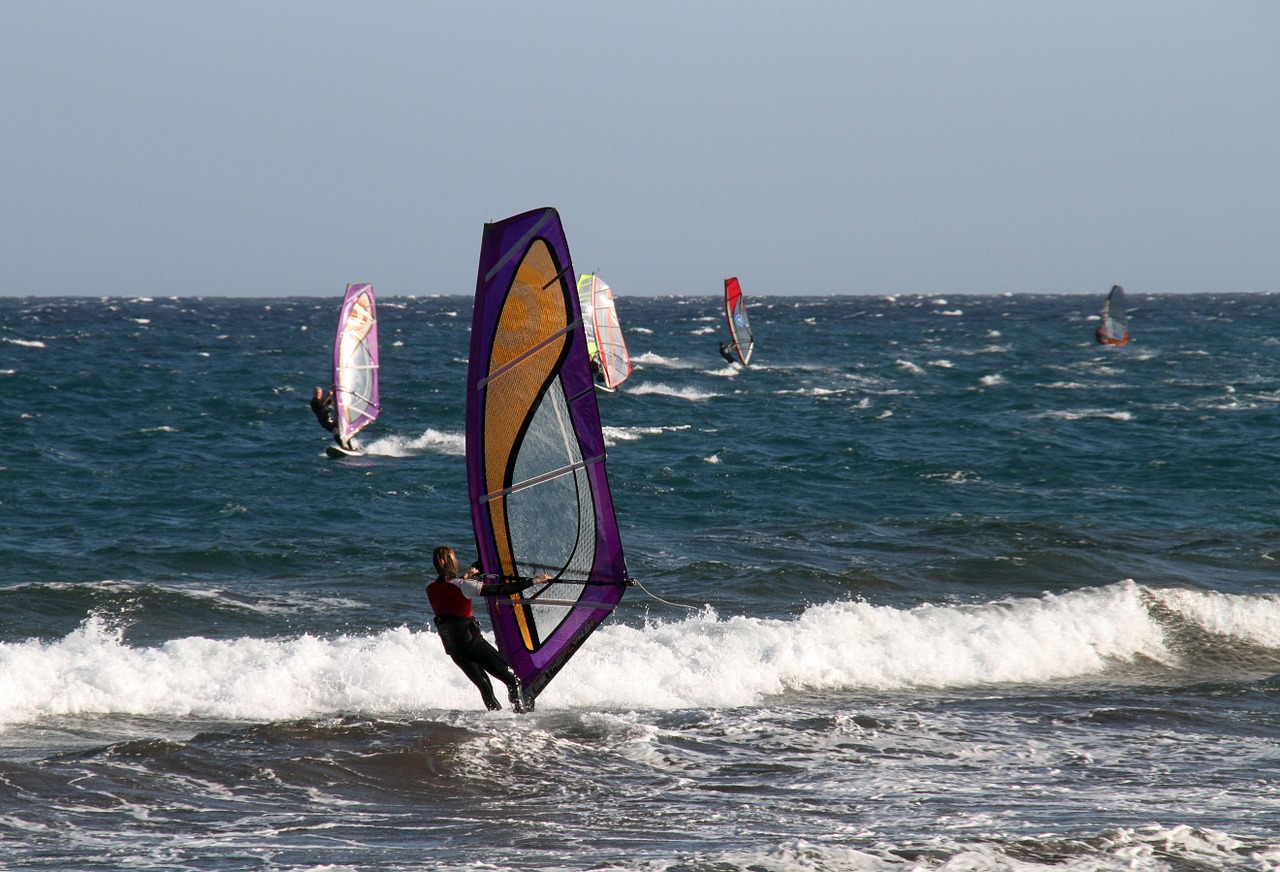 windsurf wind surfing free photo