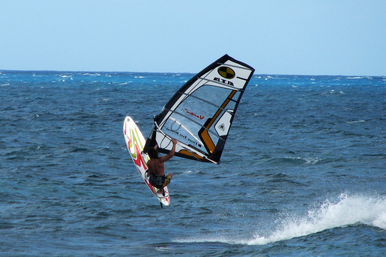 windsurf summer sports free photo