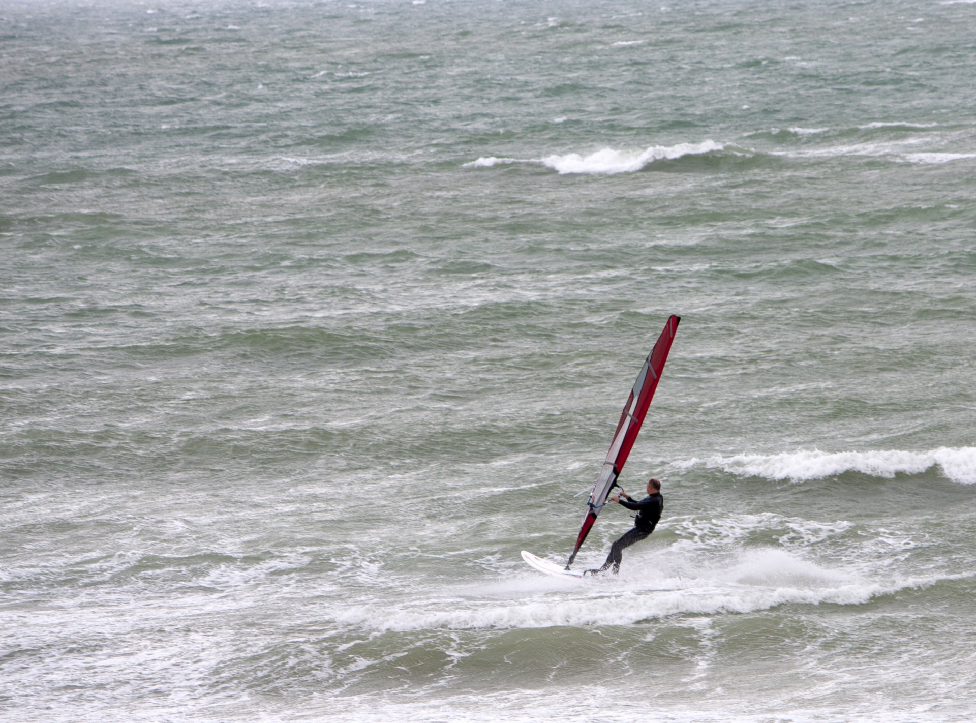 windsurfer surfing man free photo