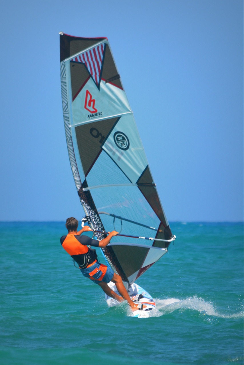windsurfer sea sports free photo