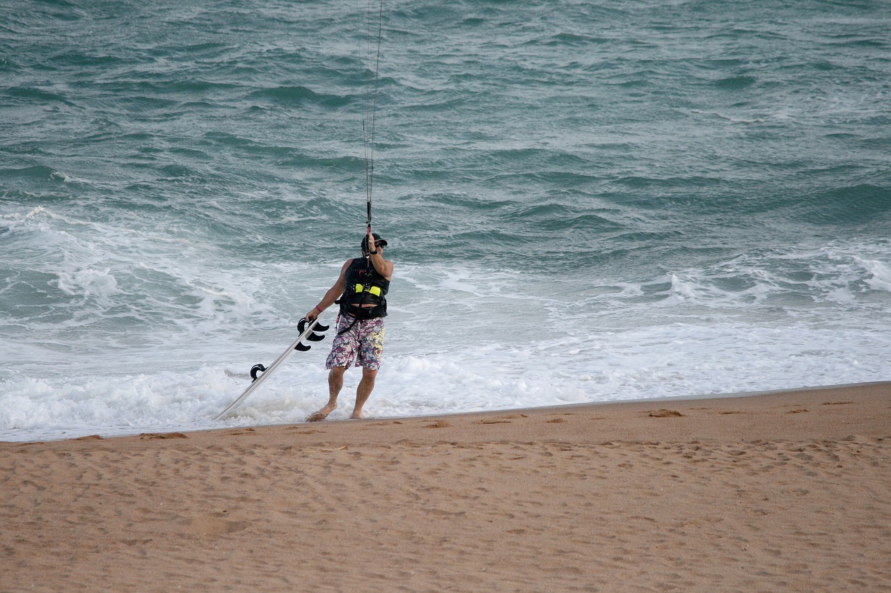 windsurfer on beach beach sand free photo