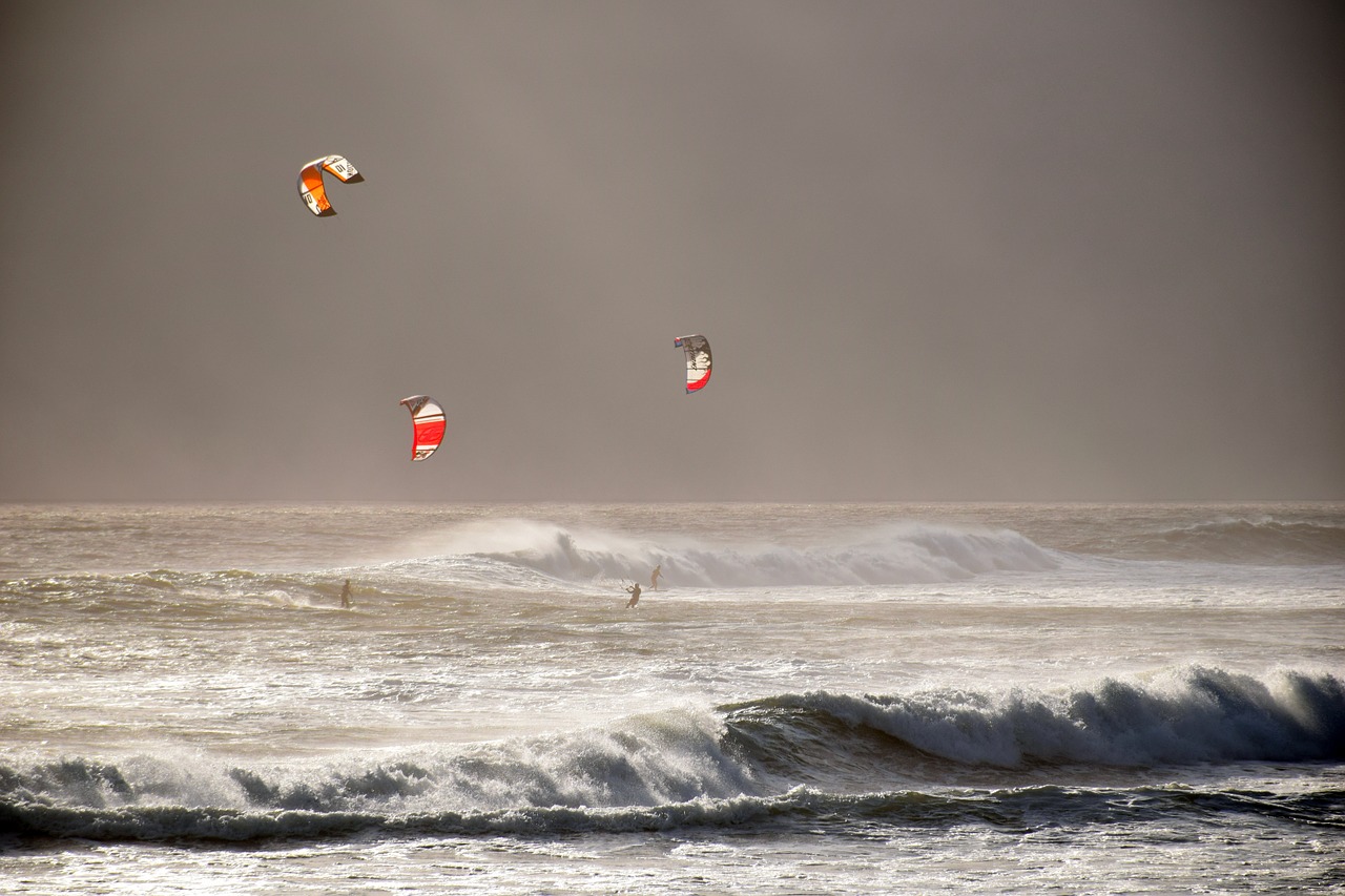 windsurfing ocean sea free photo