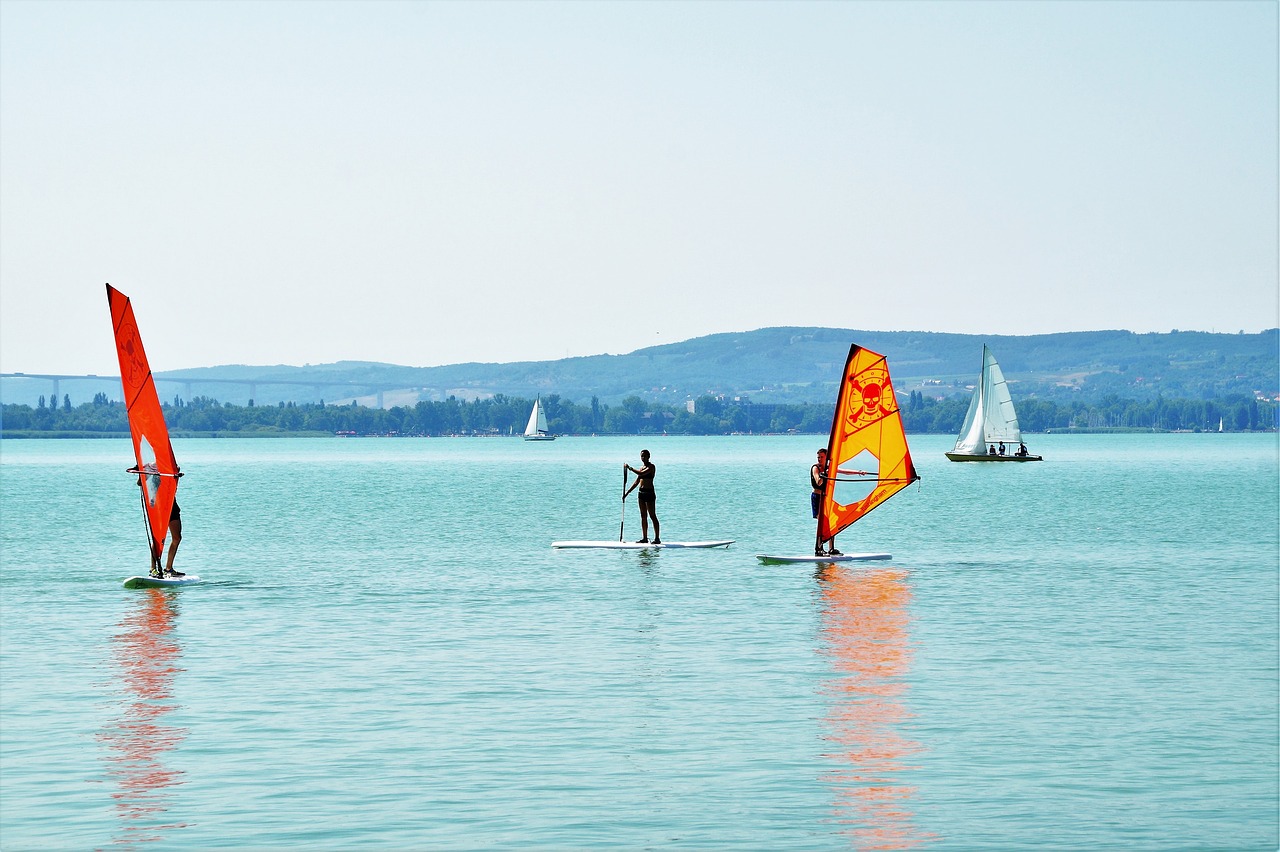 windsurfing water sport sail free photo