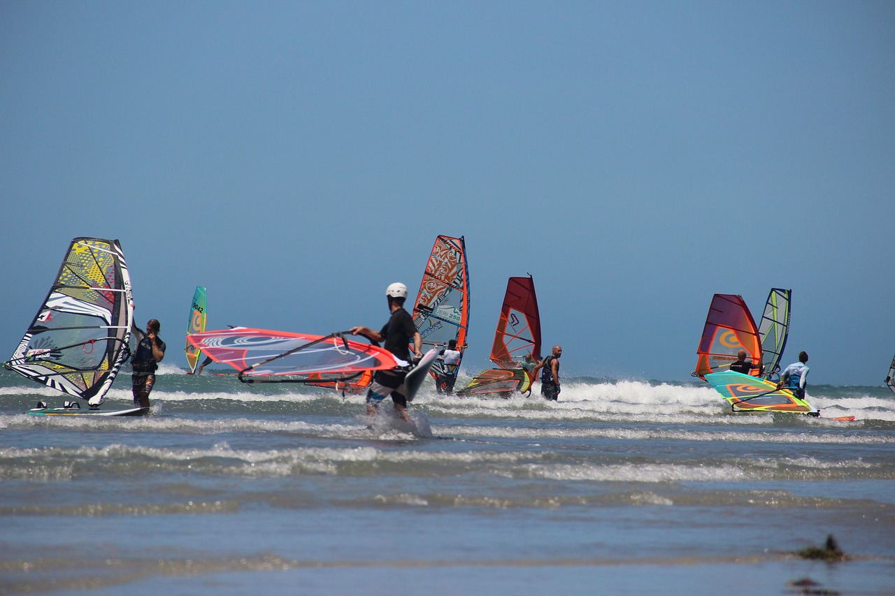 windsurfing mar sport free photo