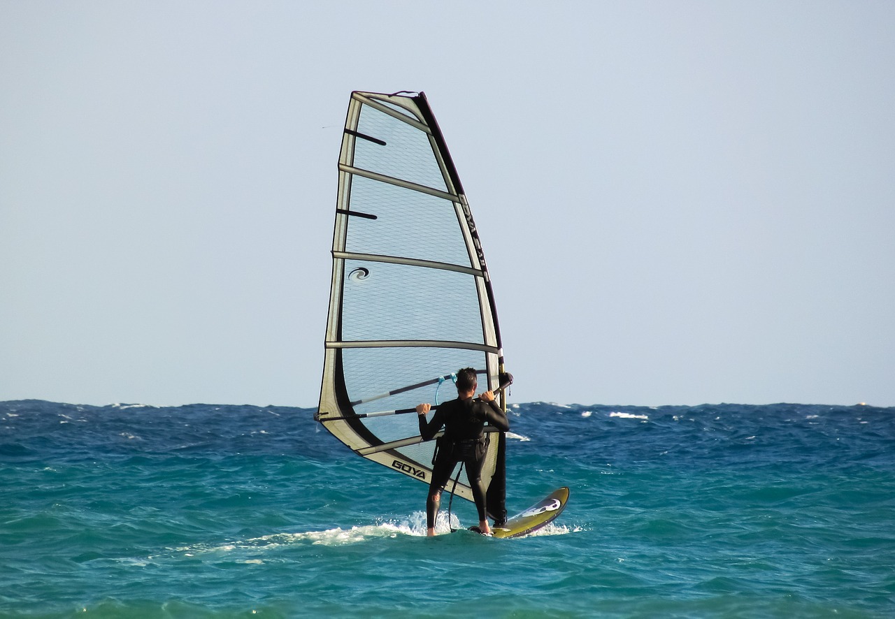 windsurfing sport surfing free photo