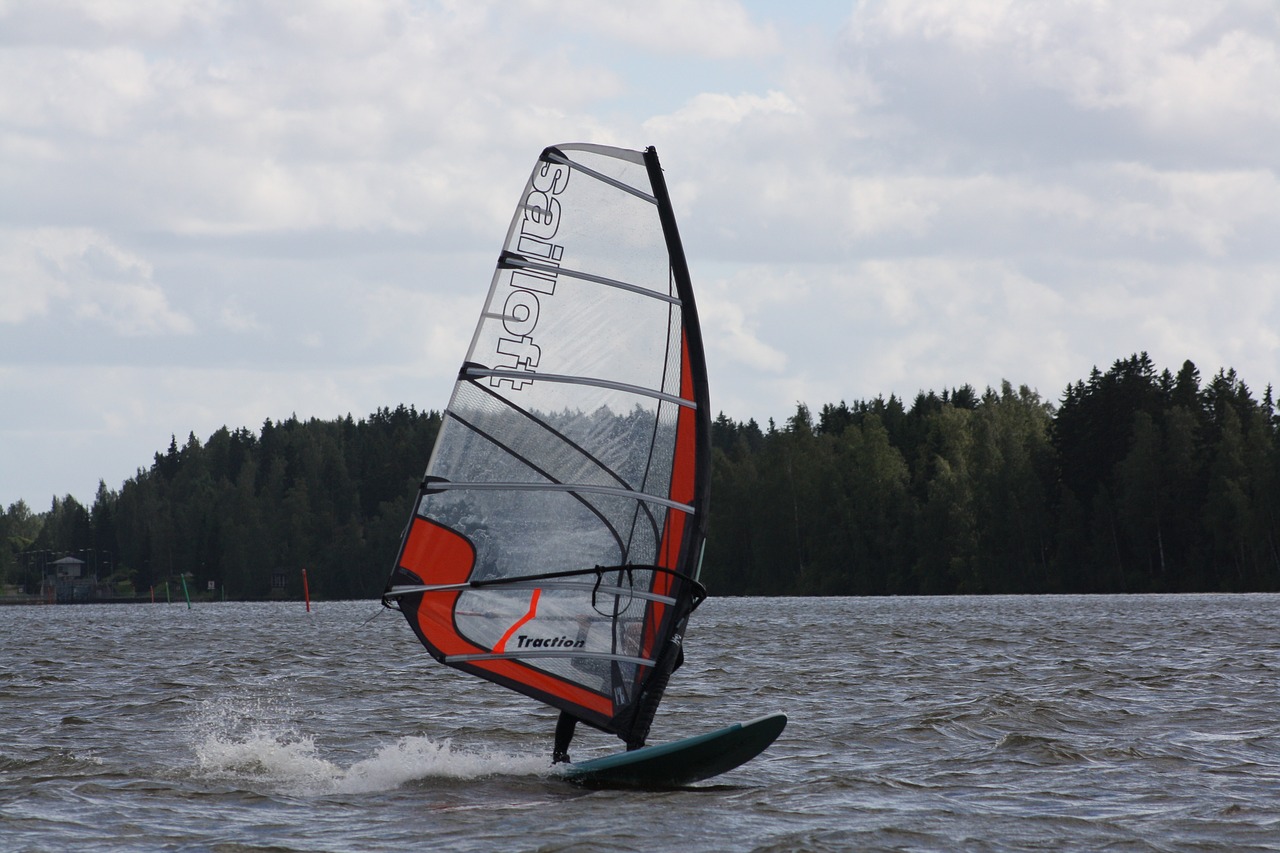 windsurfing windsurfer sail free photo