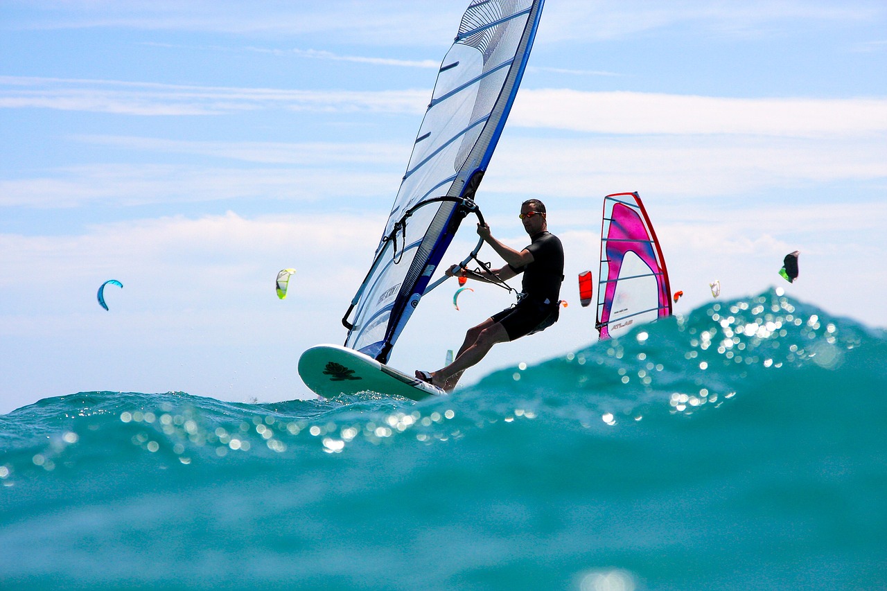 windsurfing wave sea free photo