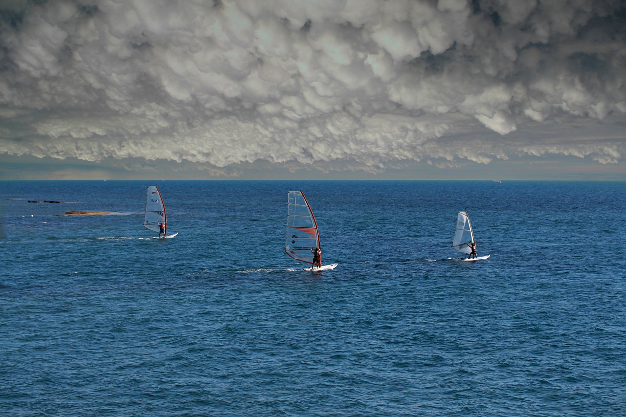 windsurfing  ocean  sky free photo