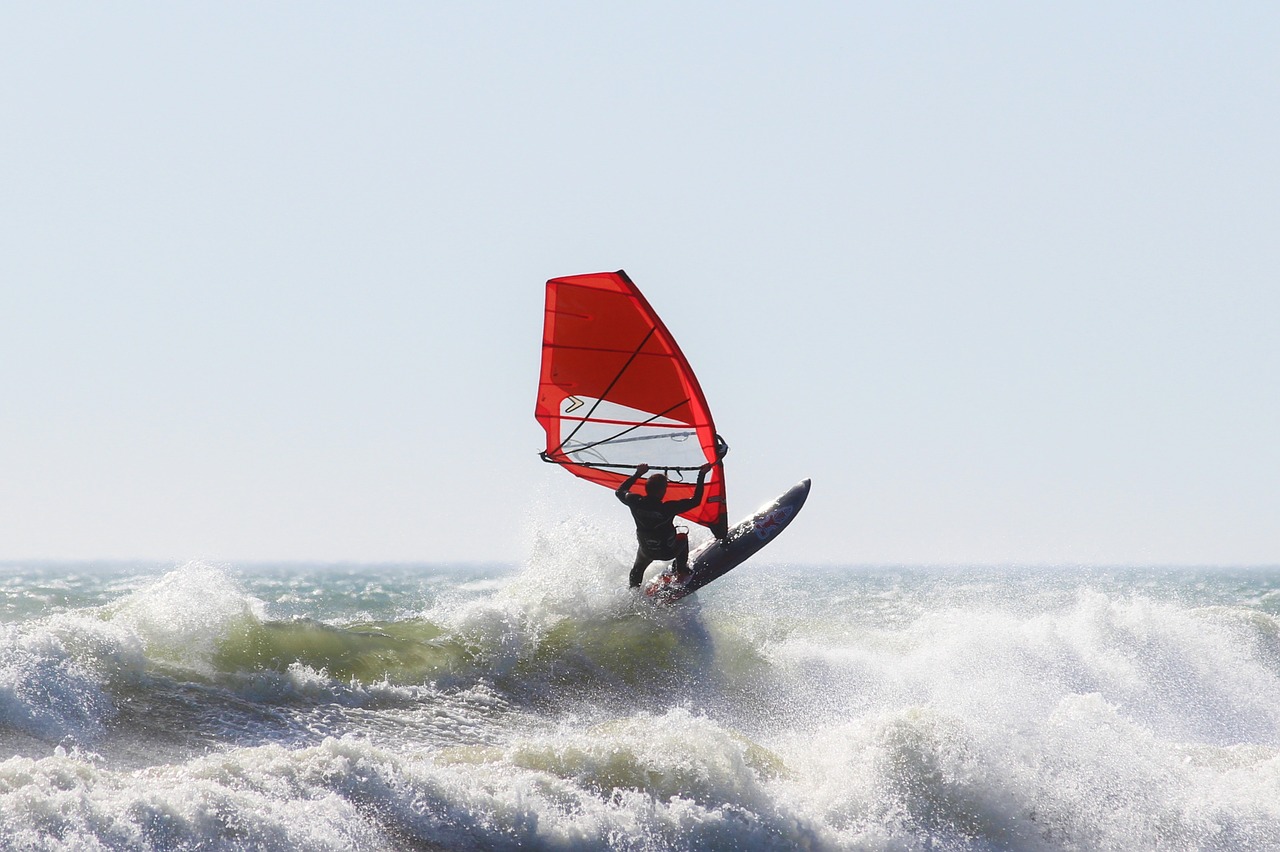windsurfing water sports ocean free photo
