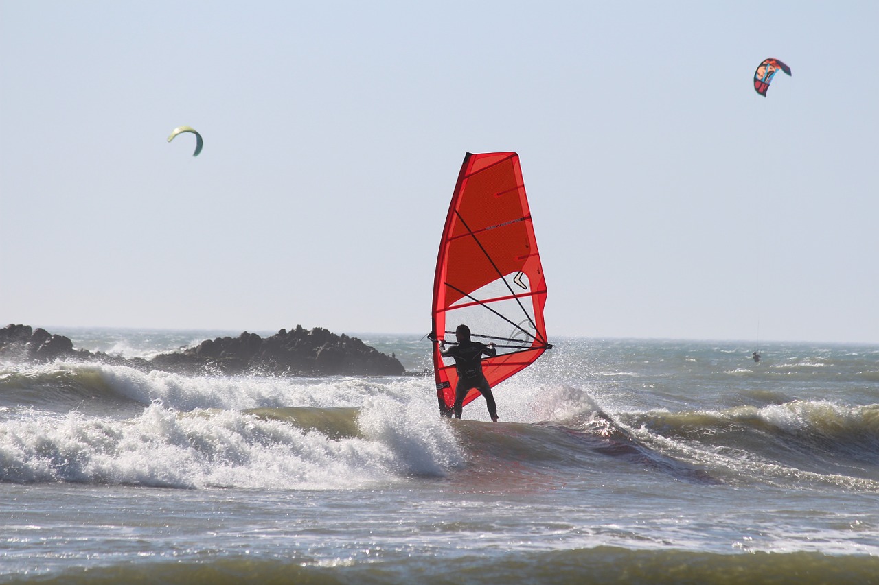 windsurfing water sports ocean free photo