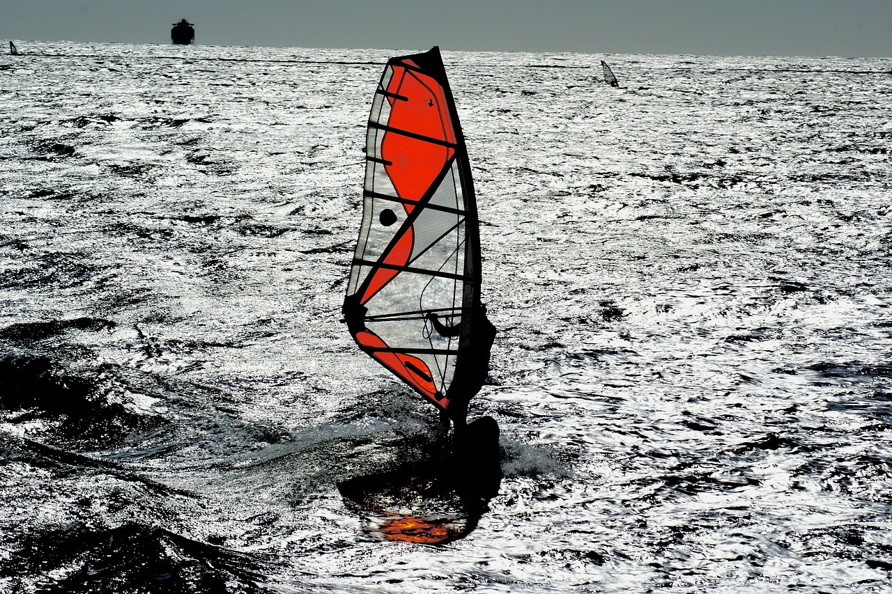windsurfing mar sport free photo