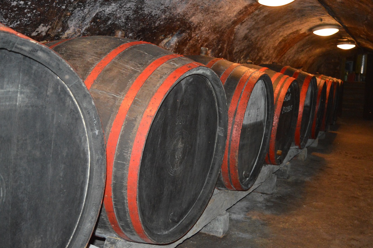 wine wine barrels wine cellar free photo
