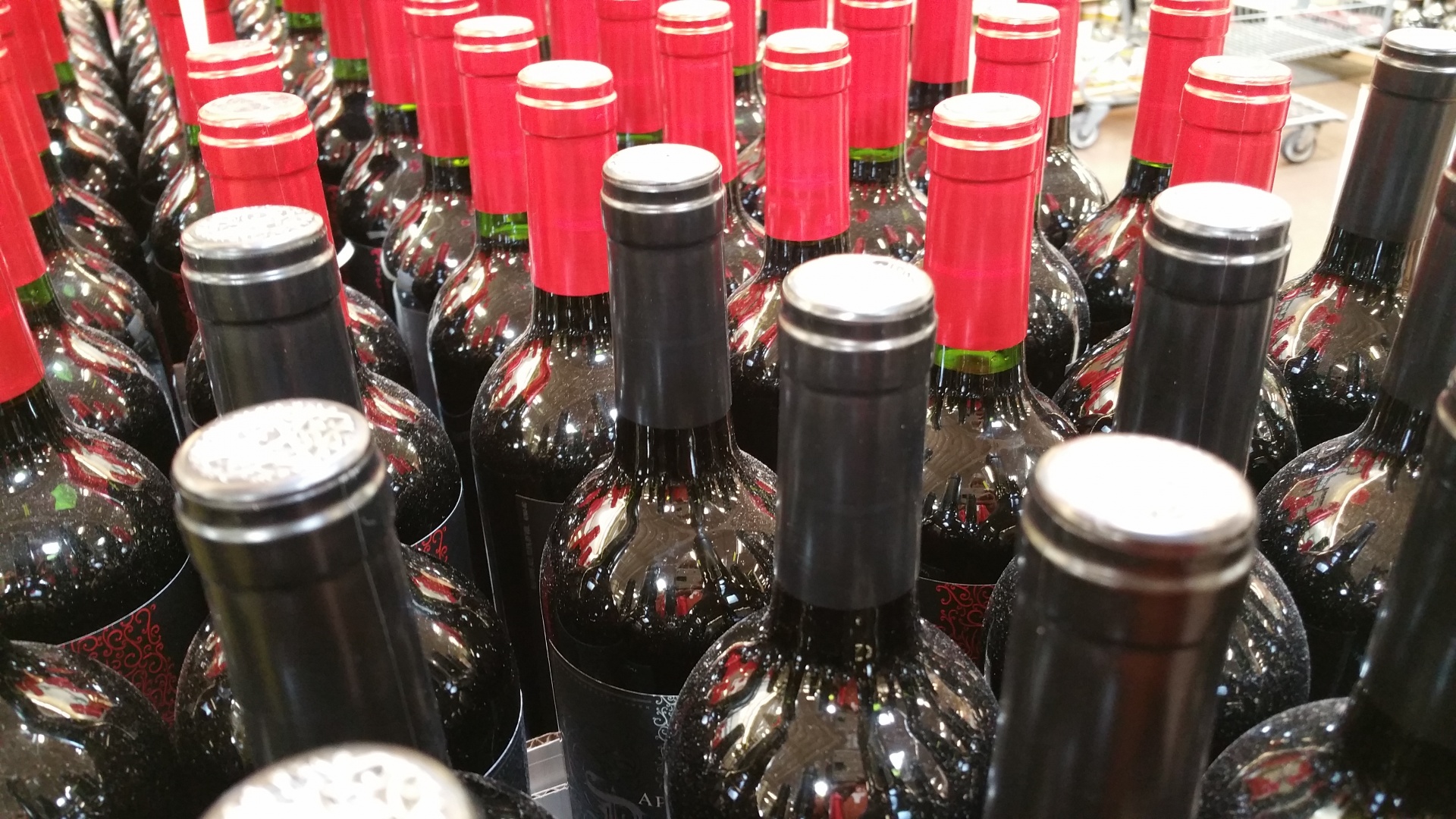 wine bottles pattern free photo