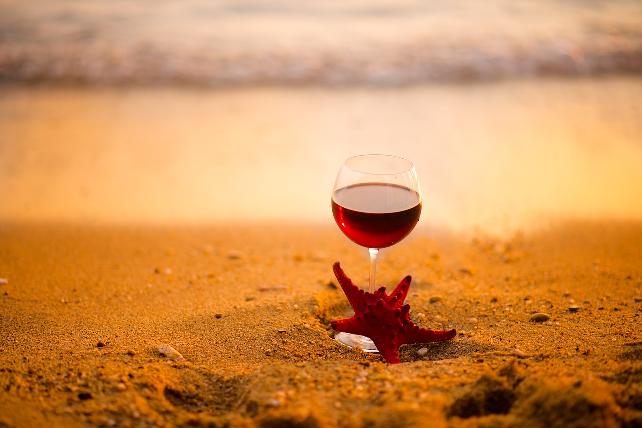 wine sea star free photo