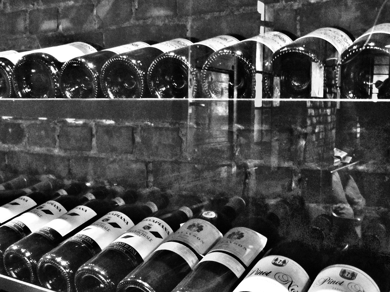 wine wine bottles sommelier free photo