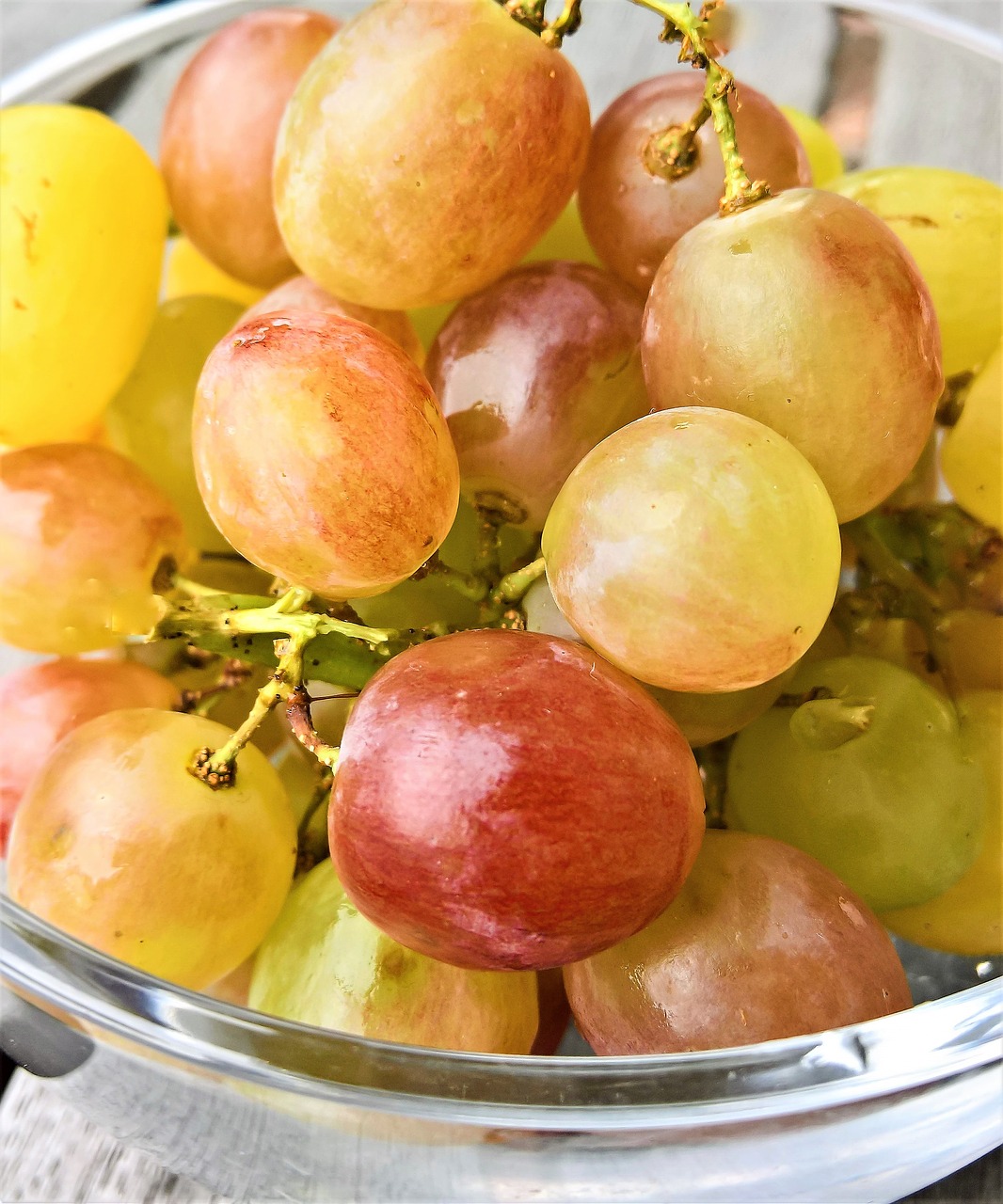 wine grapes fruits free photo