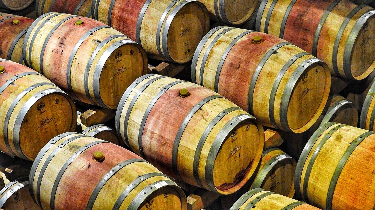 wine barrels wine barrels free photo