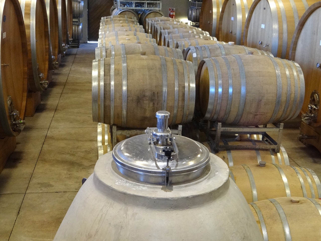 wine barrels winery free photo