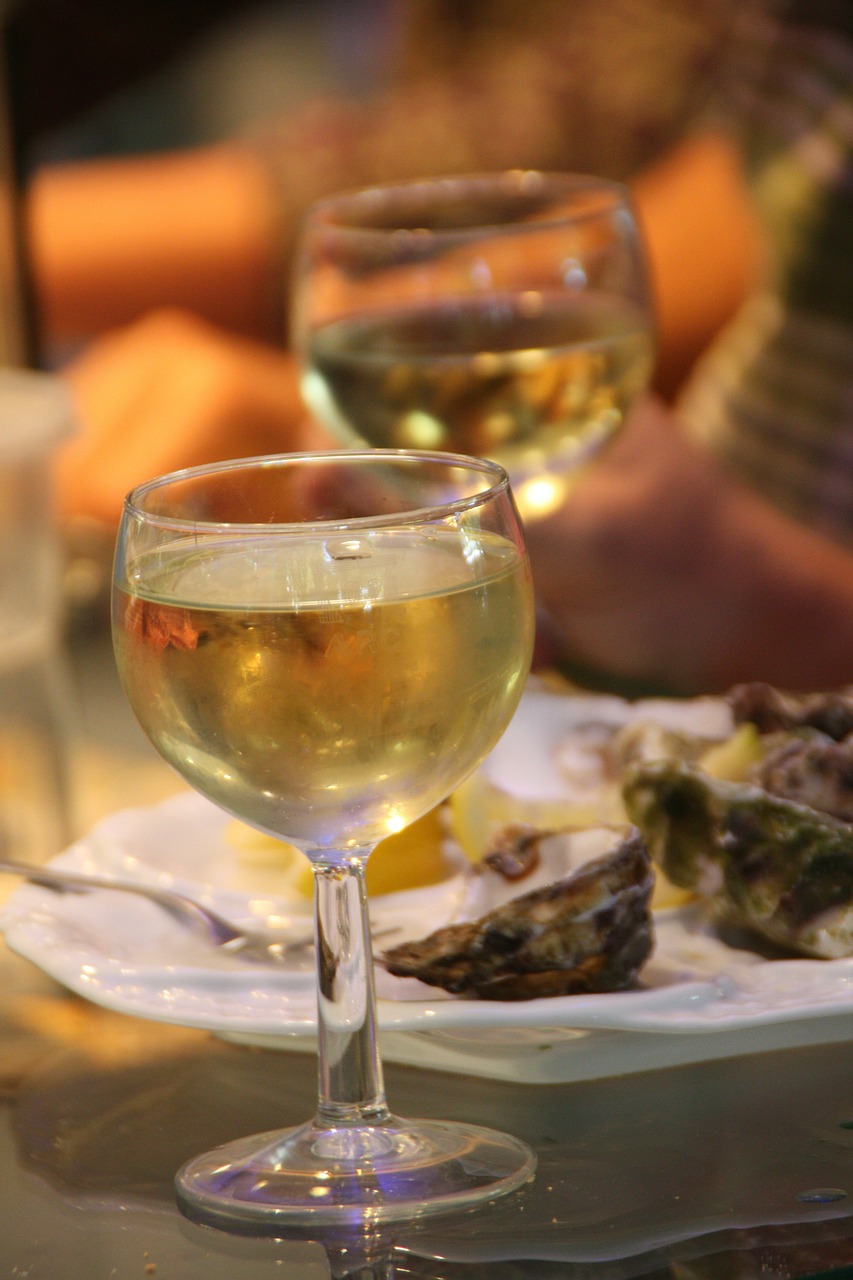 wine oysters gourmet free photo