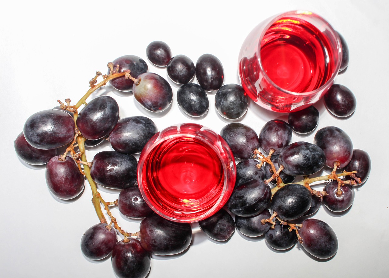 wine grapes vino free photo