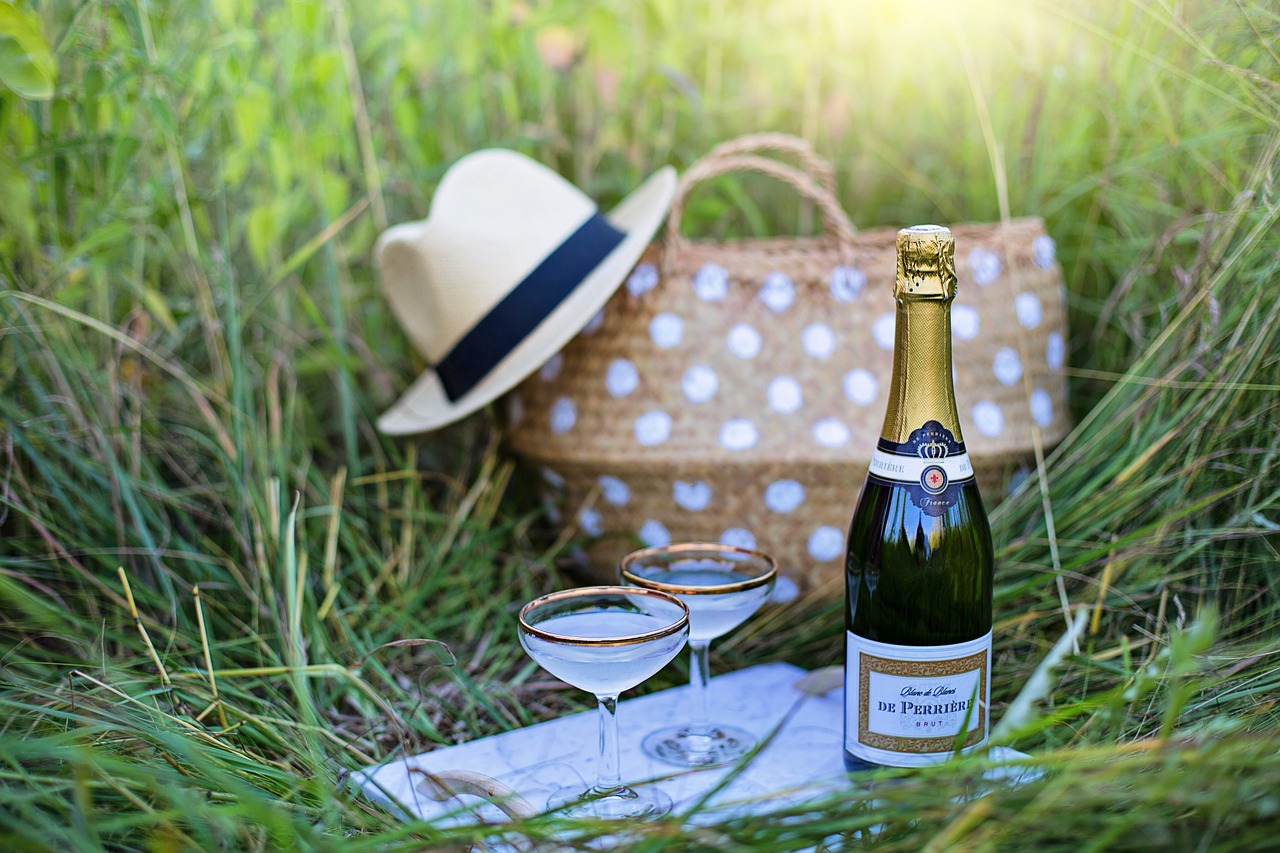 wine  champagne  picnic free photo