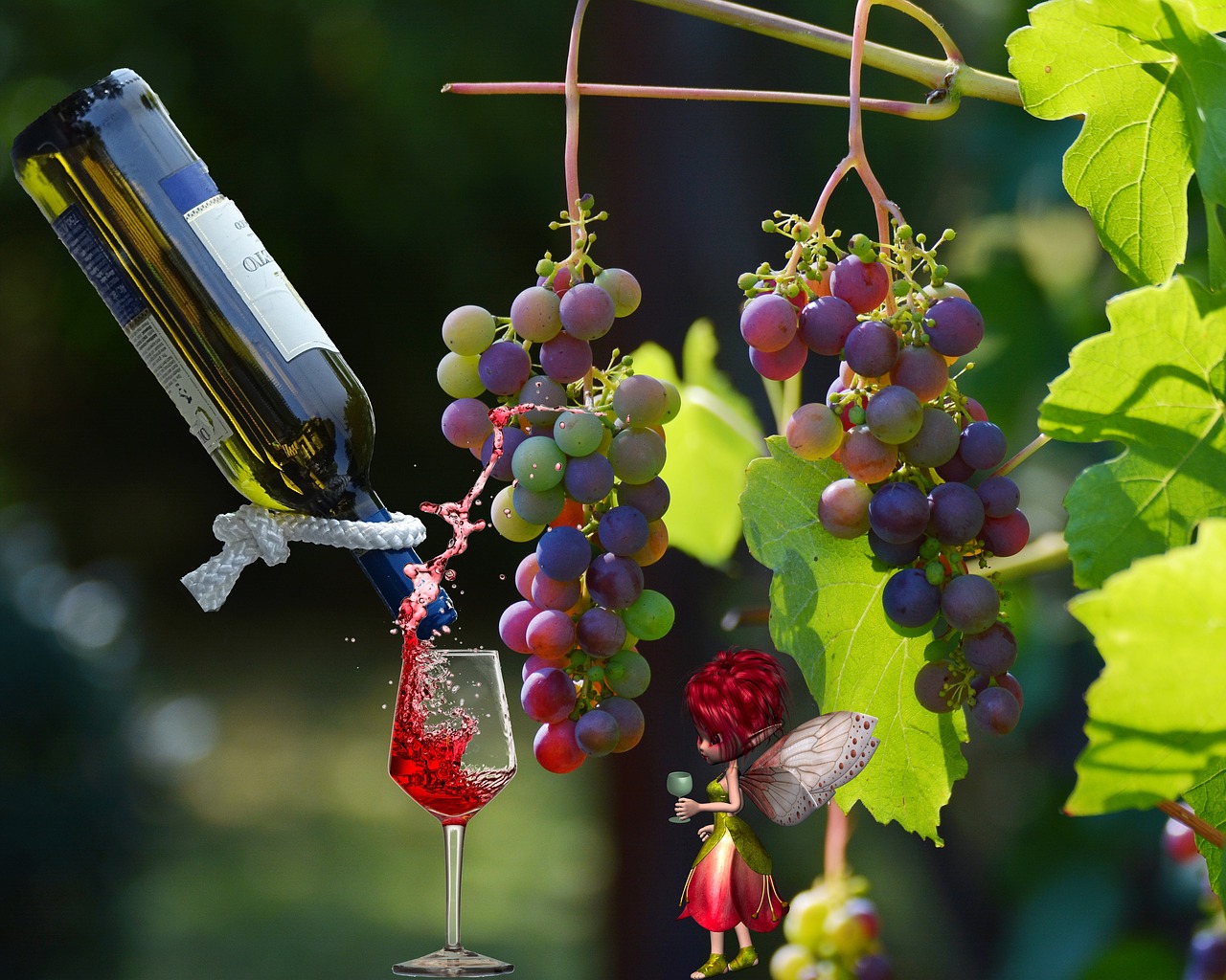 Виноградное вино с травами. Обои на рабочий стол Виноградная лоза. Вина растение. Винная трава. Растение Полевое "вино".