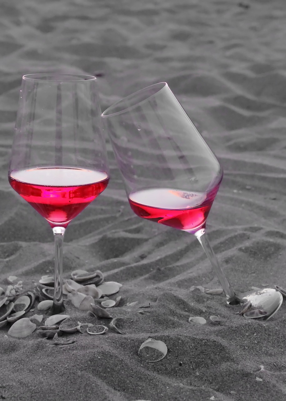 wine  red wine  wine glass free photo
