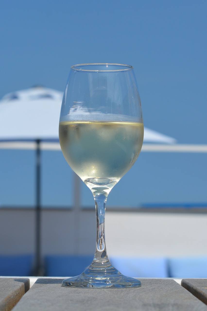 wine glass holiday free photo