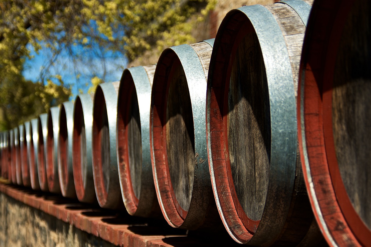 wine  winery  barrels free photo