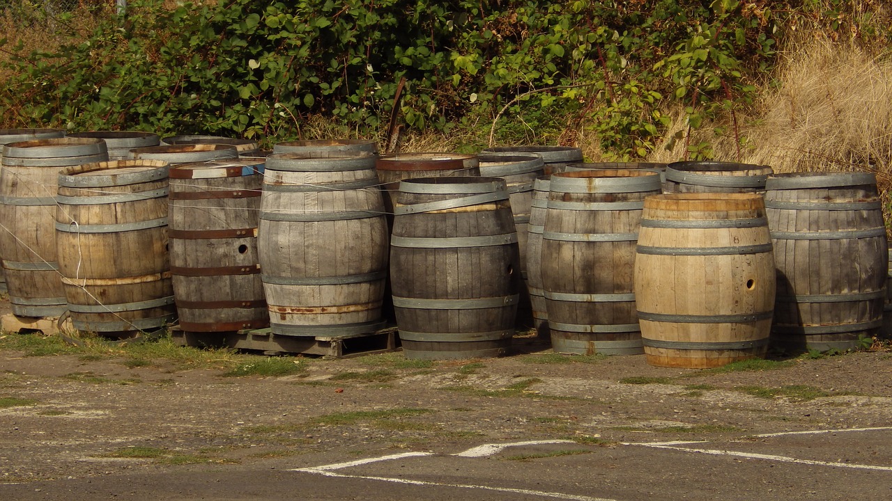 wine  barrels  wooden free photo