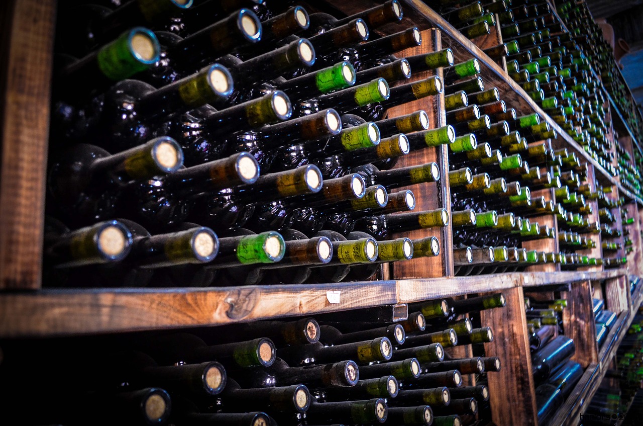 wine  cellar  winery free photo