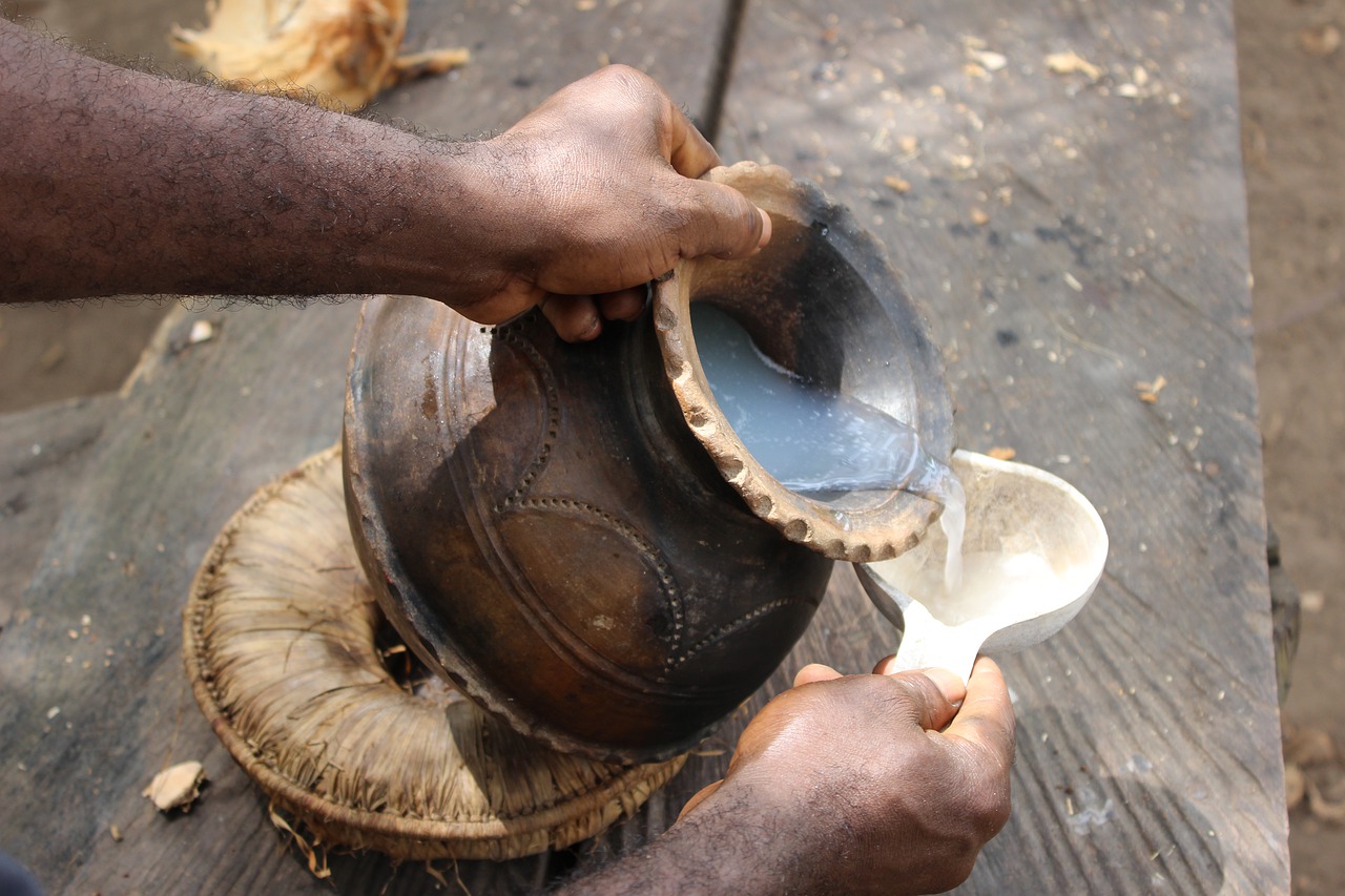 wine  palm leaf  african free photo