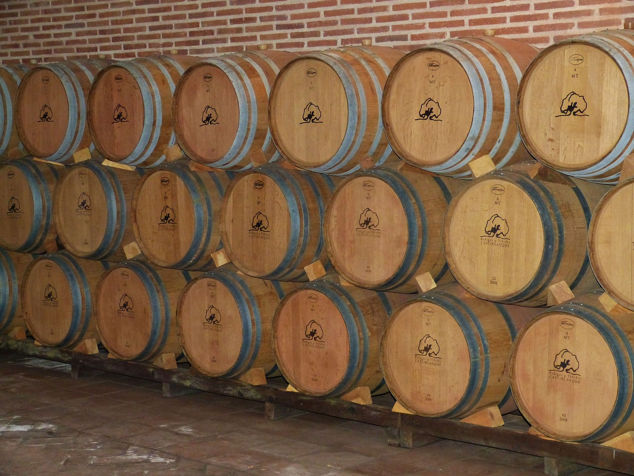wine cellar wine barrels free photo