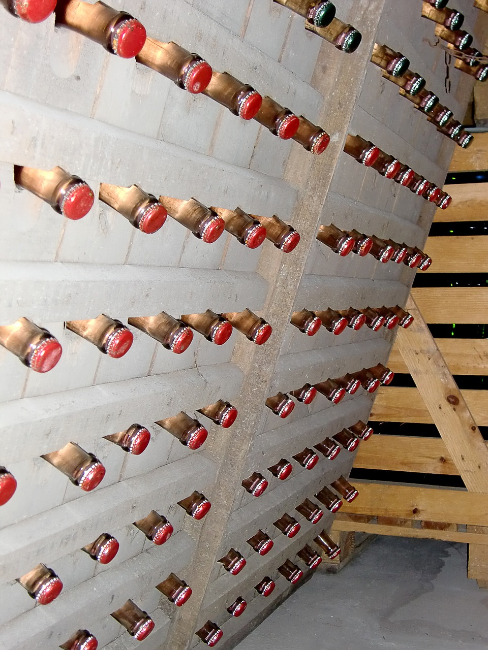 wine bottles stock free photo