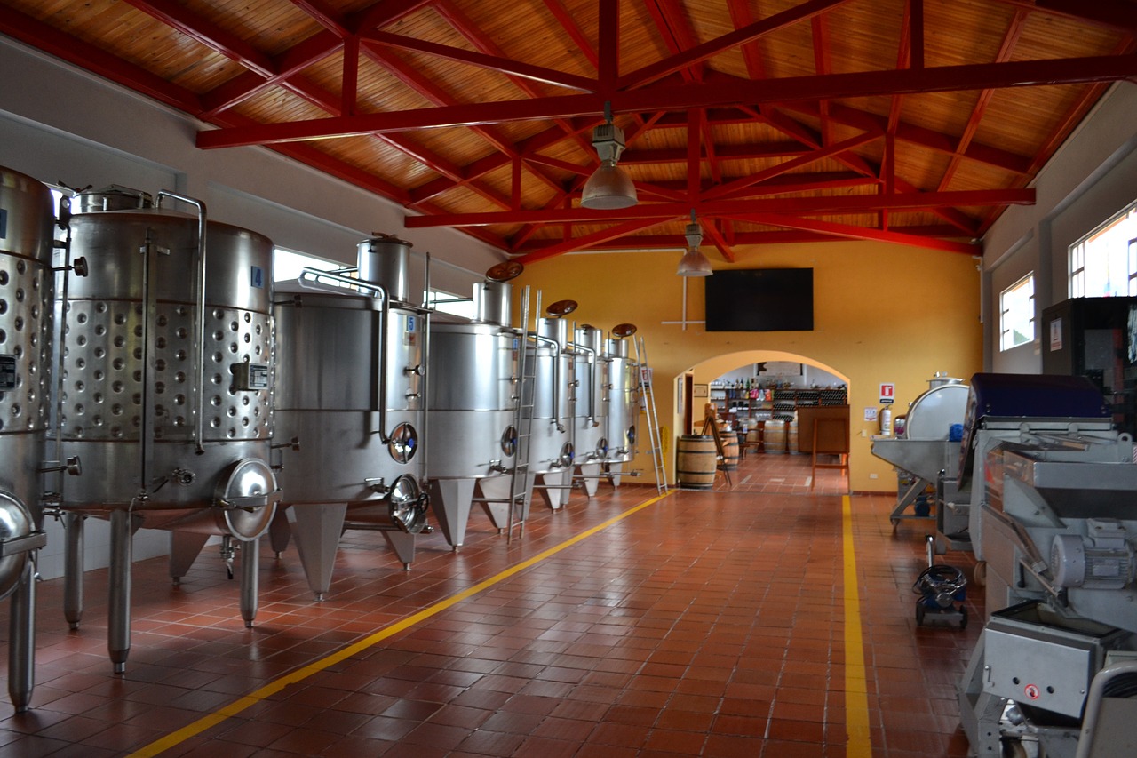 wine production winery free photo