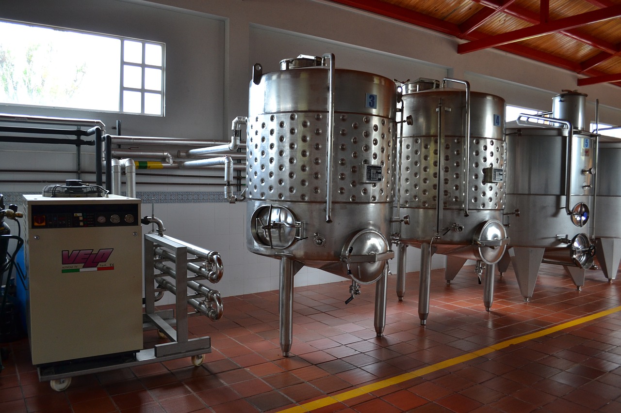 wine production cantine free photo