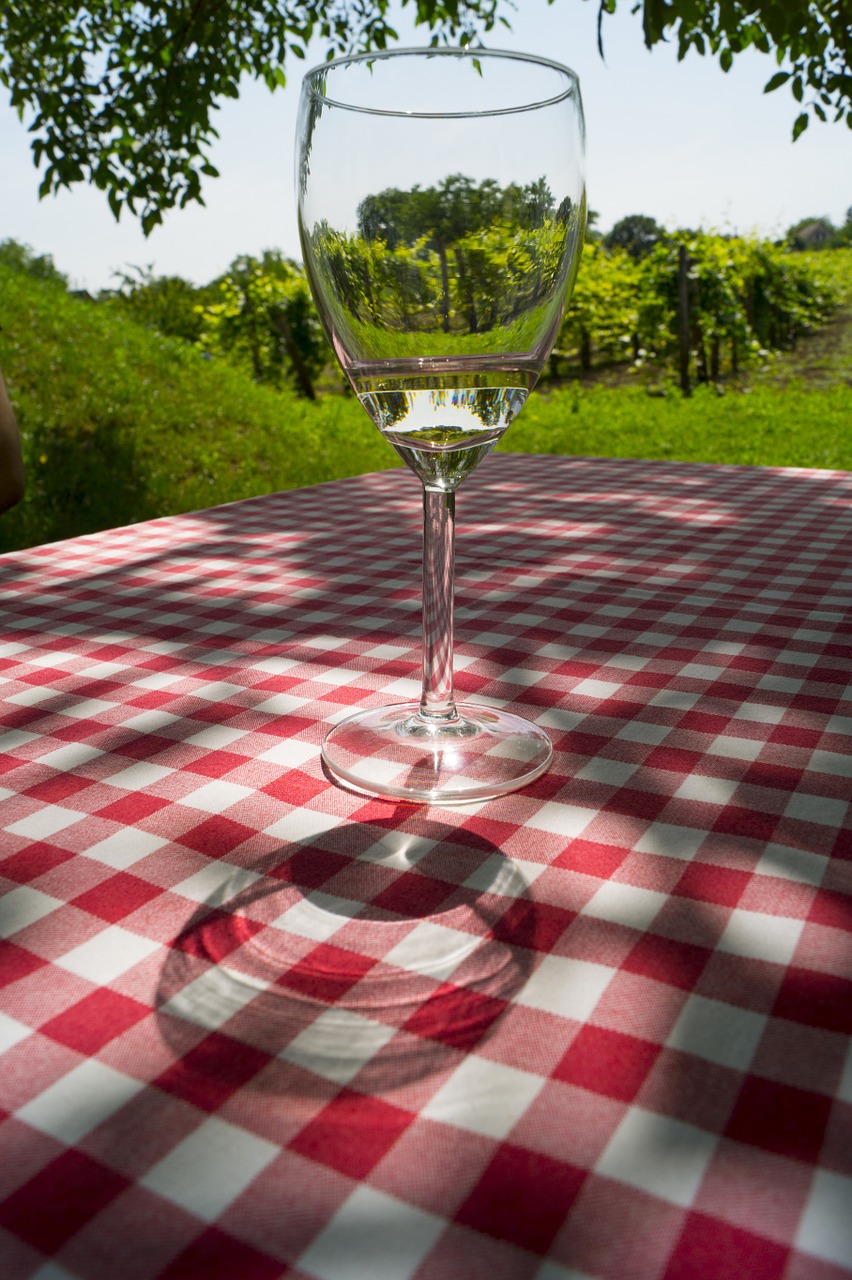 wine grape wine glasses free photo