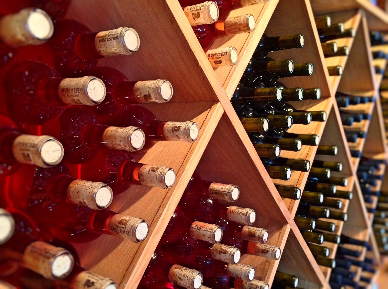 wine vineyard bottles free photo