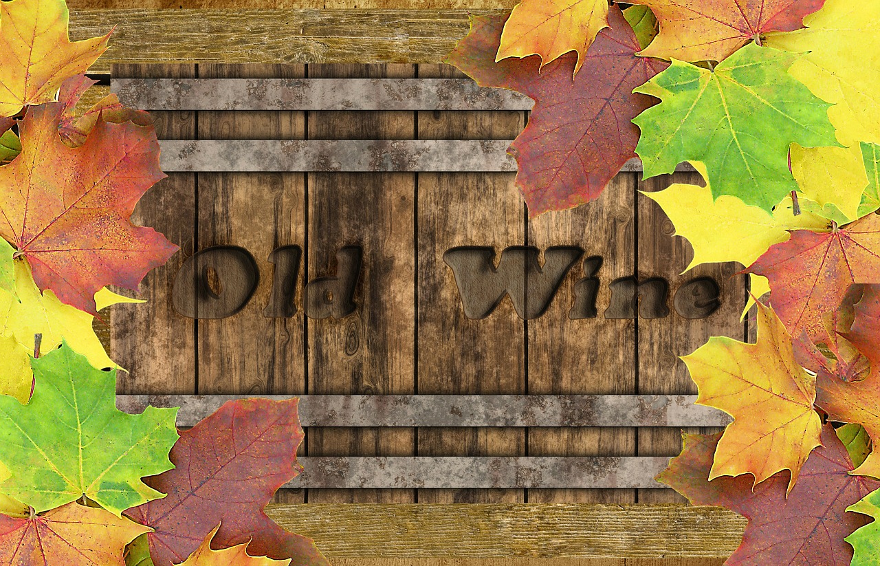 wine barrel autumn background free photo