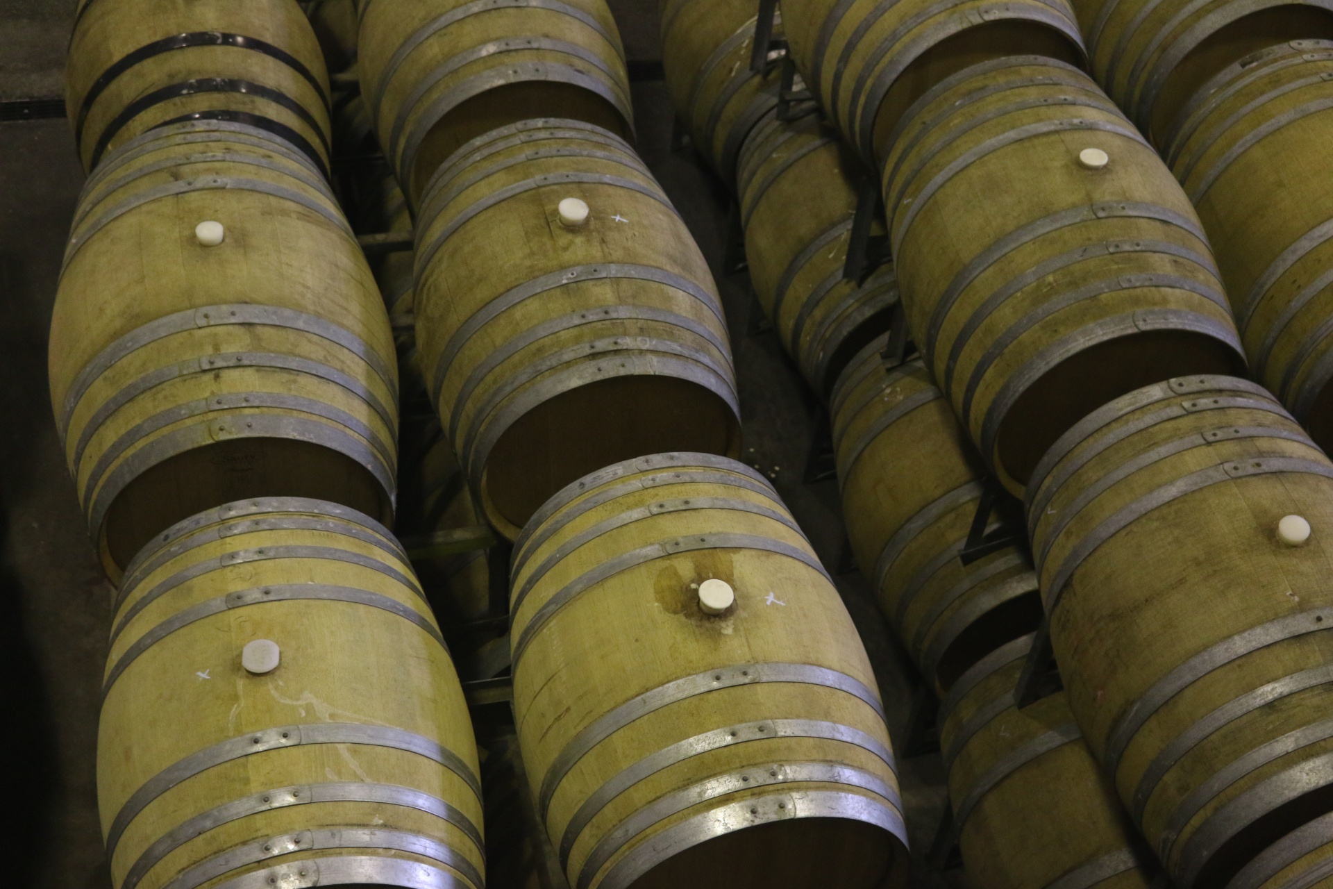 wine barrel wine barrels free photo