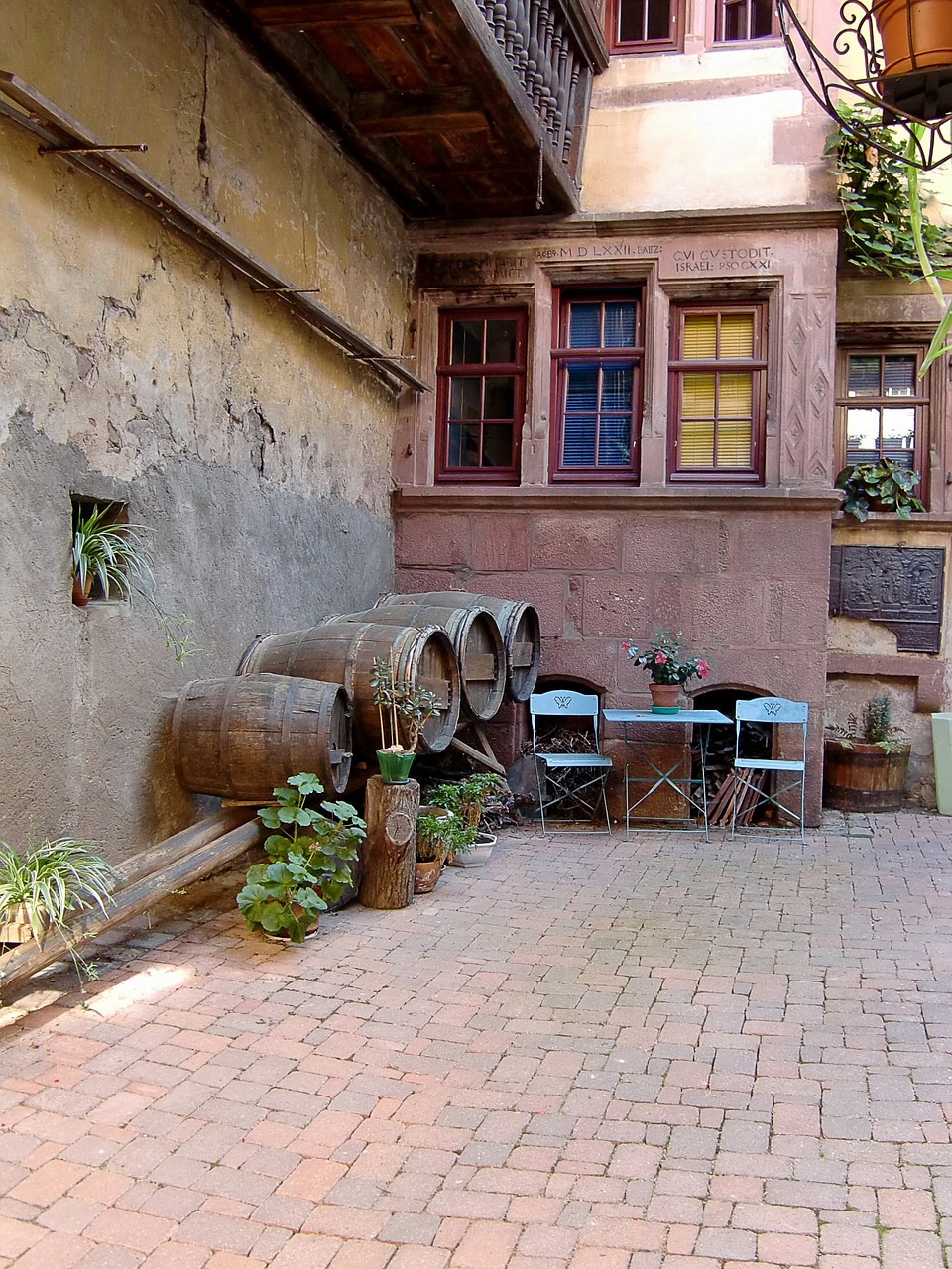 wine barrels hof backyard free photo