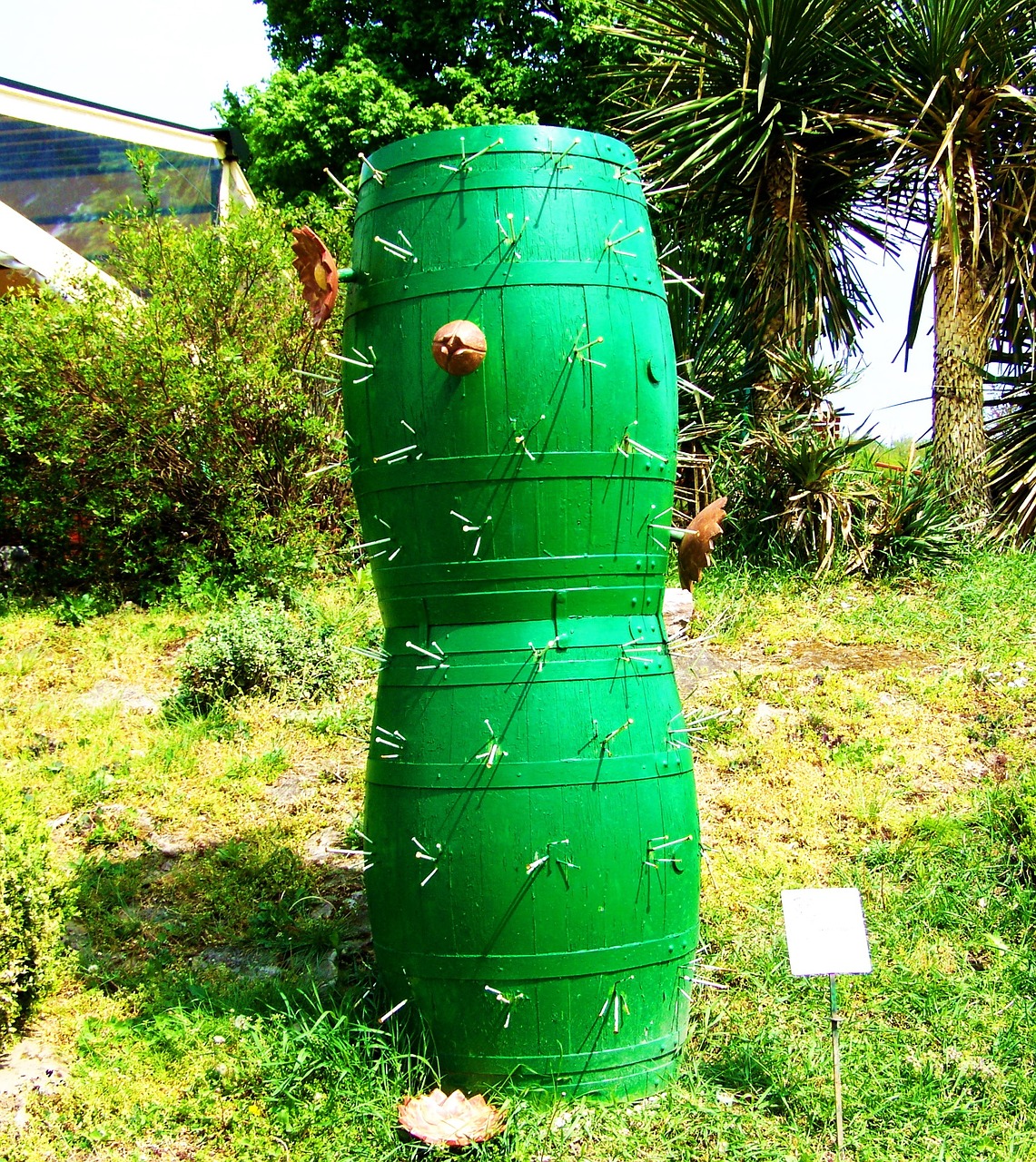 wine barrels cactus form vylian winery free photo