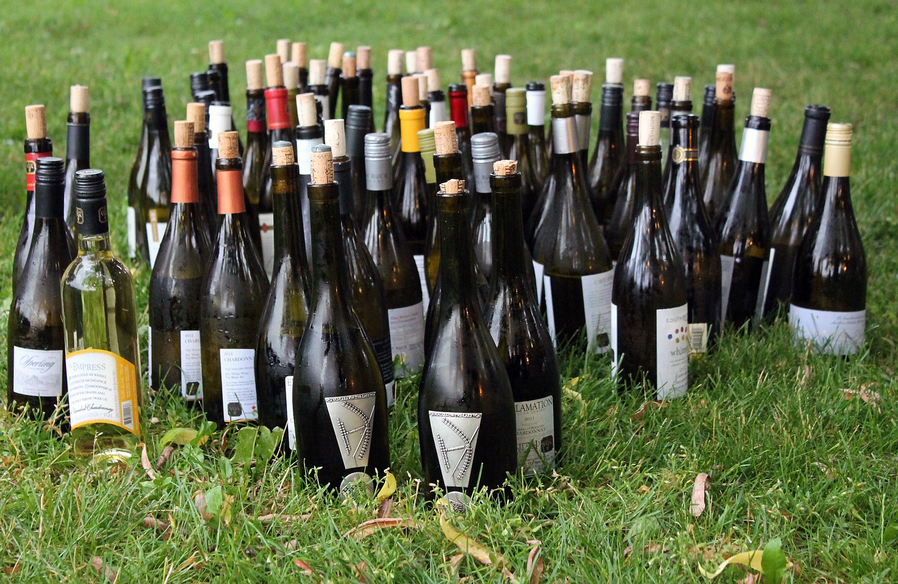 wine bottles wine bottles free photo