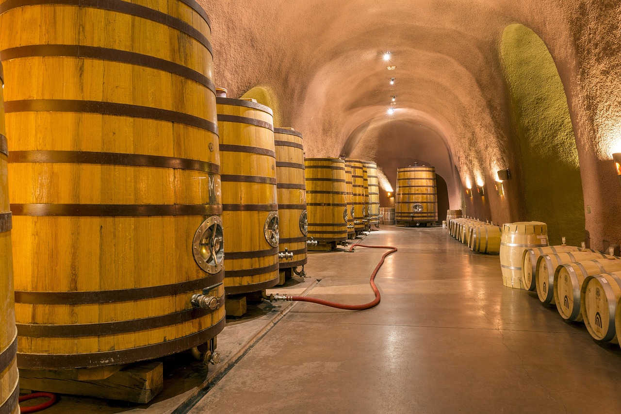 wine cellar caves tunnel free photo