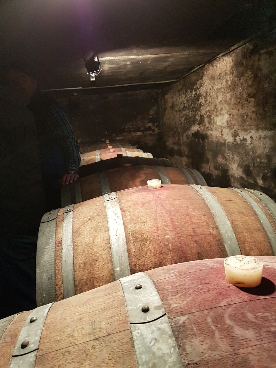 wine cellar wooden barrels wine free photo