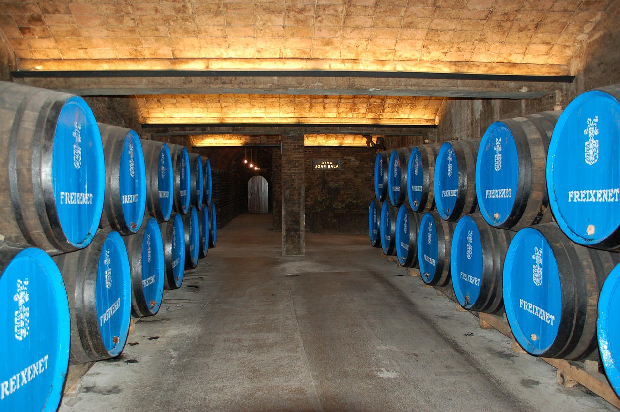 wine cellar wine barrels wine free photo