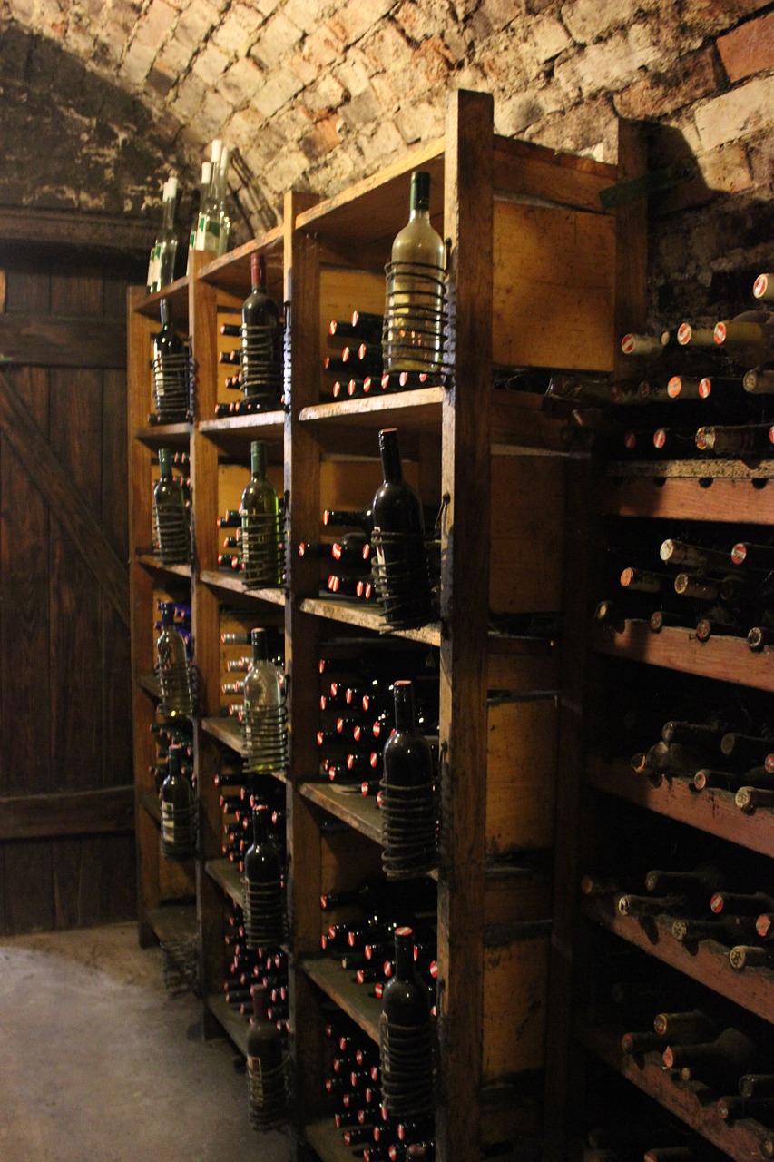 wine cellar wine vinoteka free photo